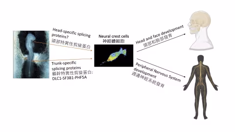 Release_20251106_Photo_2